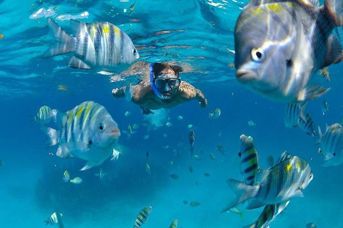 Isla Mujeres Catamaran Adventure All Inclusive from Cancun - Sailing and the open bar: fun without the guesswork