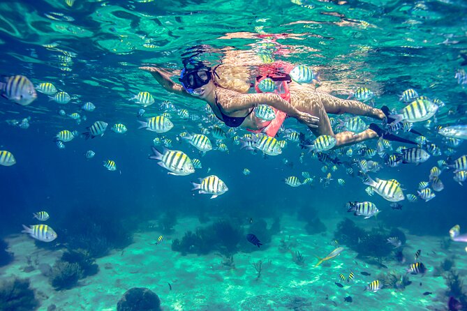 Isla Mujeres Catamaran tour with Open Bar, Lunch and Snorkeling - Isla Mujeres beach club and lunch buffet: where value shows up