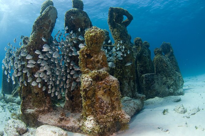 Isla Mujeres Catamaran Tour with Snorkeling at MUSA, Buffet Lunch & Open Bar - The crew and group size: why this tour often feels smooth in the water