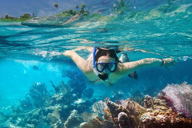 Isla Mujeres Catamaran Tour with Snorkeling, Open Bar & Buffet - Isla Mujeres island center and the women’s area: free time with a purpose