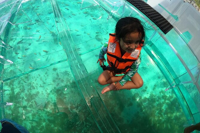 Isla Mujeres: Coral Reef Views from a Clear Boat - What’s Included (and What Isn’t) for a Clean Day on the Water