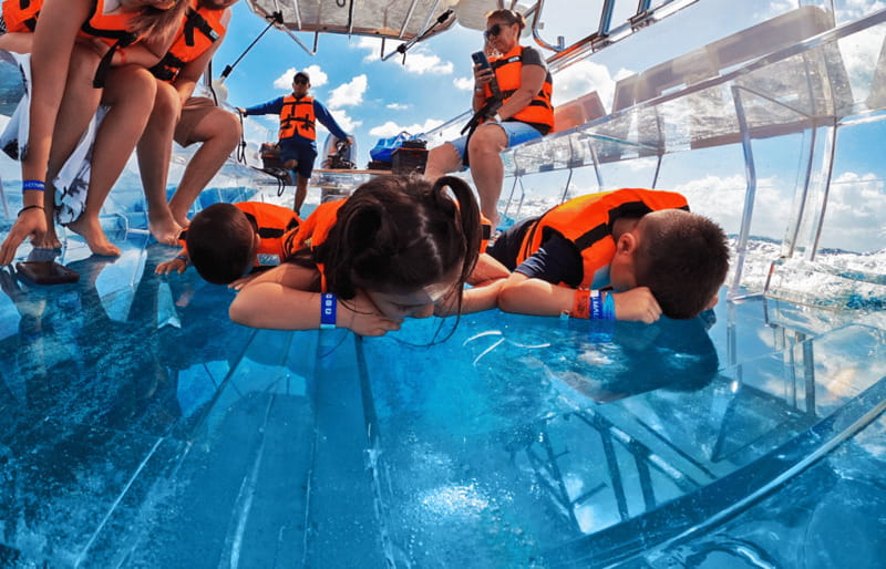 Isla Mujeres: Excursion Crystal Boat Tour at the Caribbean - Guide Notes Onboard: Reefs, Wreckage, and the Best Questions