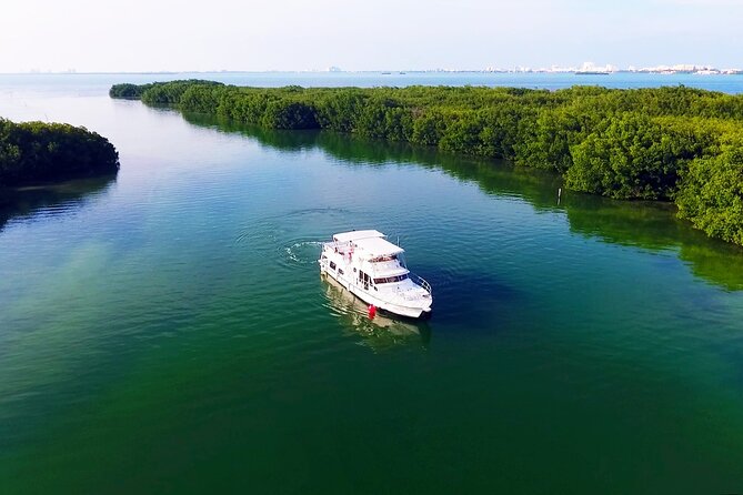 Isla Mujeres Full Day Tour on Yacht with Snorkel and Buffet - Who This Isla Mujeres Yacht Day Trip Is Best For