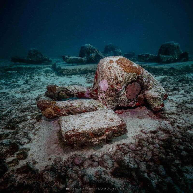 Isla Mujeres: MUSA and the Manchones Reef: 2 Tank Dive Tour - Key Things You’ll Notice Right Away