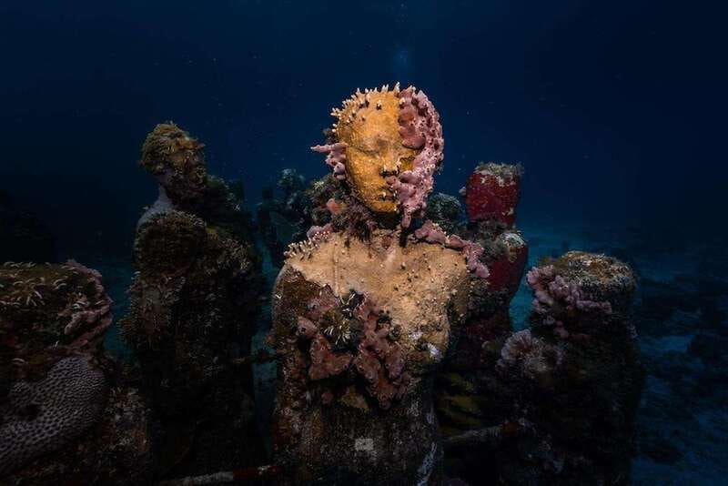 Isla Mujeres: MUSA and the Manchones Reef: 2 Tank Dive Tour - Manchones Reef: Calm Clear Water and Real Reef Characters