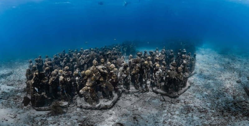 Isla Mujeres: MUSA and the Manchones Reef: 2 Tank Dive Tour - Price and Value: What $125 Covers (and Where You Might Pay Extra)
