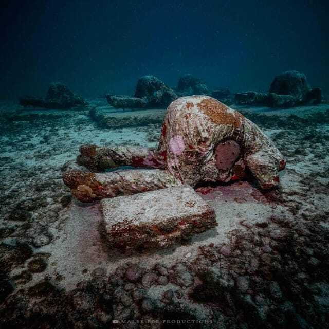 Isla Mujeres: MUSA and the Manchones Reef: 2 Tank Dive Tour - Comfort, Motion Sickness, and Safety Rules That Matter