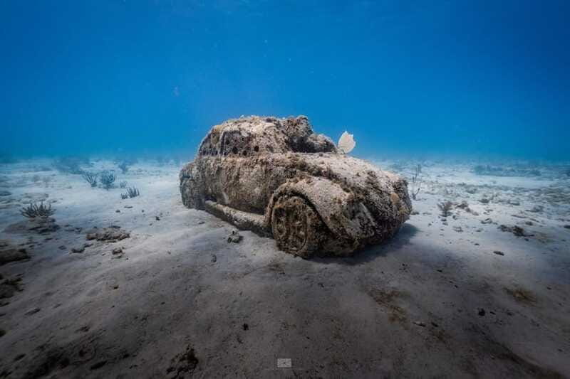 Isla Mujeres - MUSA and the Manchones Reef - Snorkel - Who this snorkel tour suits best