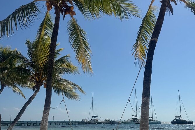 Isla Mujeres Plus Tour with Snorkeling Buffet and Open Bar - Getting to the dock and the timing that keeps it smooth