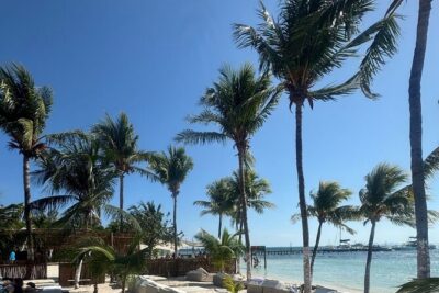 Isla Mujeres Plus Tour with Snorkeling Buffet and Open Bar - Playa Tortugas: a quick early stop with a dock tax to budget