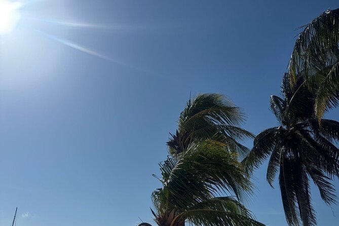 Isla Mujeres Plus Tour with Snorkeling Buffet and Open Bar - Isla Mujeres sailing segment: music, drinks, and sunset views back to Cancun