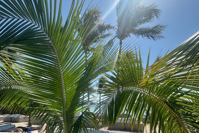 Isla Mujeres Plus Tour with Snorkeling Buffet and Open Bar - Who this tour suits best (and who should rethink it)