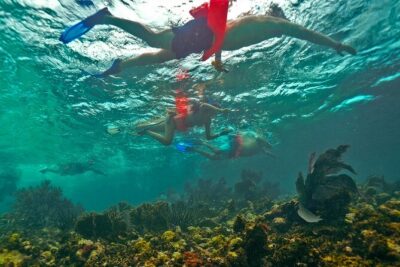 Isla Mujeres, Snorkel, Lunch & Pick Up from Cancun to P.Morelos - The day’s rhythm: Punta Sam check-in, El Meco, Isla Mujeres, Playa Norte
