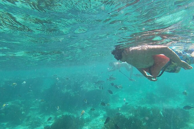 Isla Mujeres Snorkeling Adventure at the Underwater Museum - Underwater Museum Snorkeling: Why Isla Mujeres Works