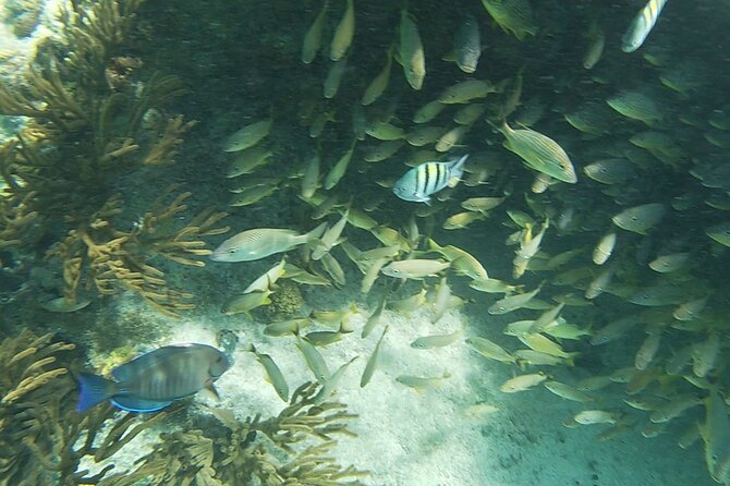 Isla Mujeres Snorkeling Adventure at the Underwater Museum - Safety and comfort tips before you go