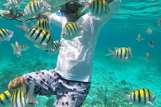 Isla Mujeres Snorkeling Adventure at the Underwater Museum - Is this snorkeling tour for you?