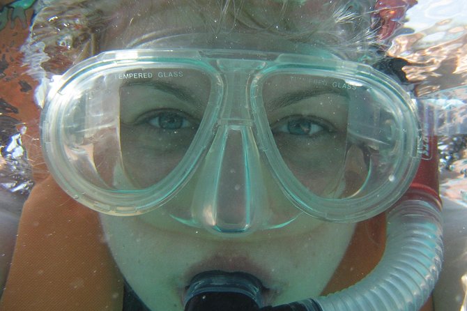 Isla Mujeres Snorkeling Tour - Casa del Buceo check-in and a small-group setup