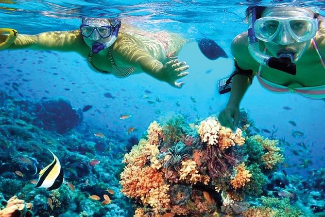 Isla Mujeres tour in a Catamaran with snorkel, open bar, lunch - Lunch, Food, and Expectations: Good Fuel, Not a Fine-Dining Moment