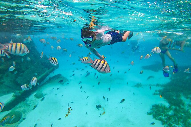 Isla Mujeres Tour, Snorkel and Golf Cart included - Snorkeling at the Shipwreck: Gear Included, Expect Real Current