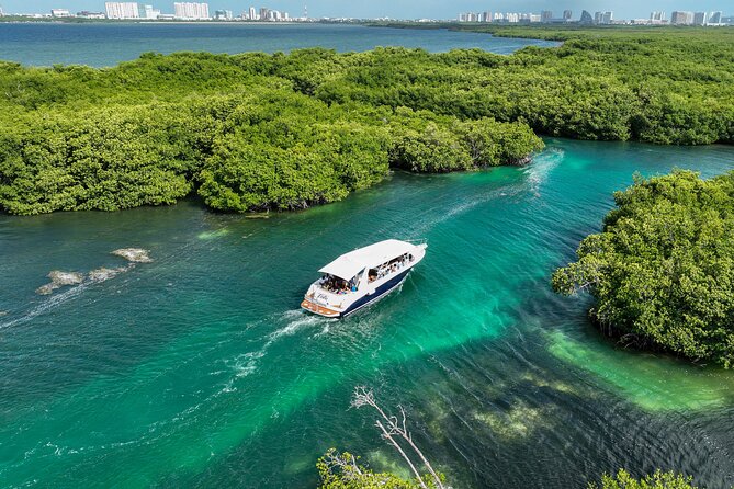 Island Adventure - Snorkel Time: Included Gear and How to Make It Better