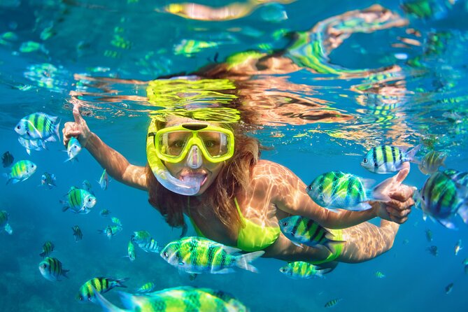 Island Adventure - Price and Value: What You’re Paying For (and the One Fee to Plan)