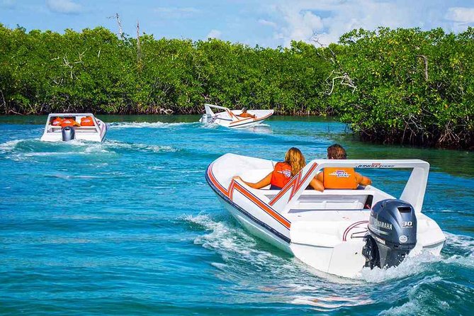 Jungle Tour - Stop 1: the speedboat ride you’re paying for