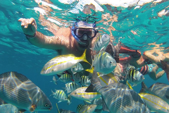 Jungle Tour - Gear, life jackets, and what’s included (and not)