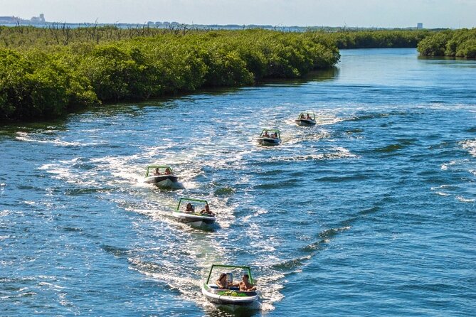 Jungle Tour adventure Cancun Speed Boat Through Mangrove - Fees, Weather, and Timing: How to Avoid a Bad Day