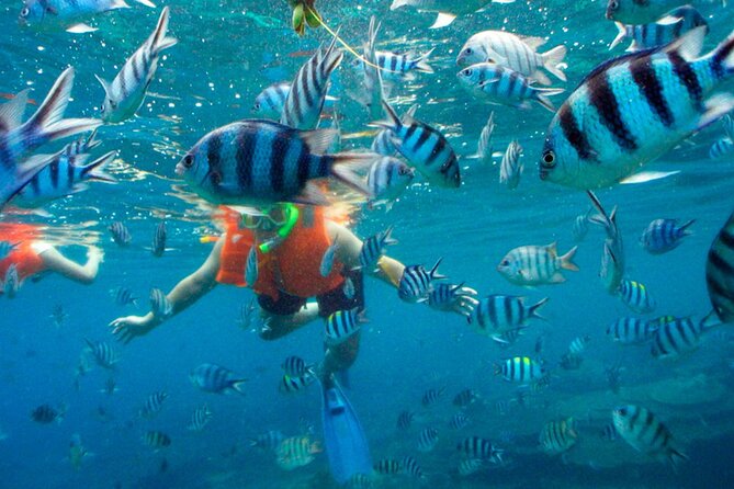 Jungle Tour Adventure in Cancun with Snorkeling - Speedboat training at Marina Chac Chi: do the driving yourself
