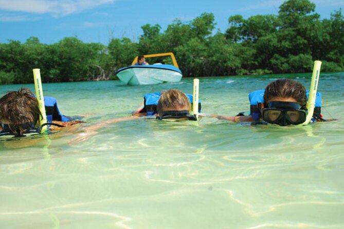 Jungle Tour Adventure in Cancun with Snorkeling - Price and fees: how $37 turns into a real total