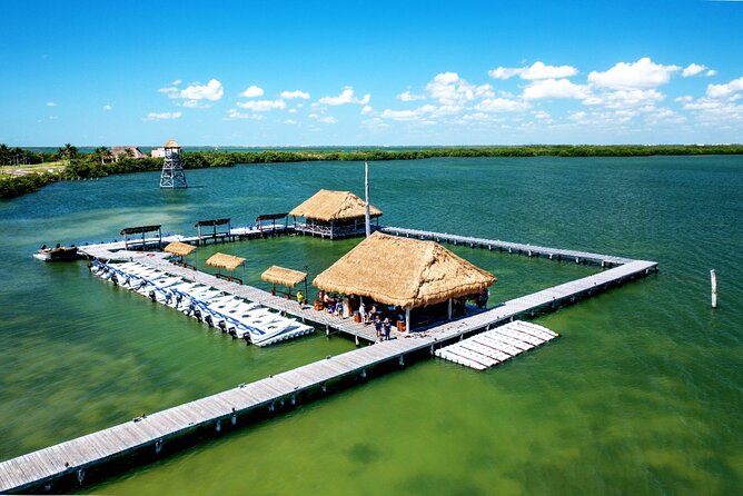 Jungle Tour Puerto Maya in Cancun - Price and logistics: where the real value comes from