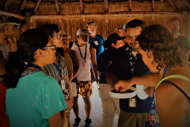 Kaan Luum & Cenotes Mayan Traditions - Should you book Kaan Luum & Cenotes Mayan Traditions?