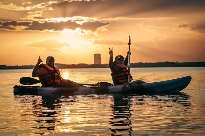 Kayak Adventure in Cancun - Mangrove forest time: birds, channels, and quiet wildlife clues