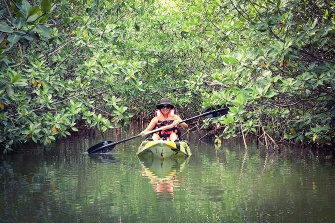 Kayak Adventure in Cancun - Price and value: is $47.73 worth two hours of mangroves?