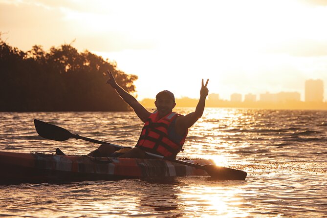 Kayak Tour at Sunset in Cancun - Wildlife Time in the Mangroves: Birds, Fish, and Quiet Nature