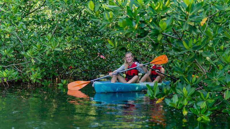 Kayak Tour in Cancun with Photos included - Key things to know before you paddle