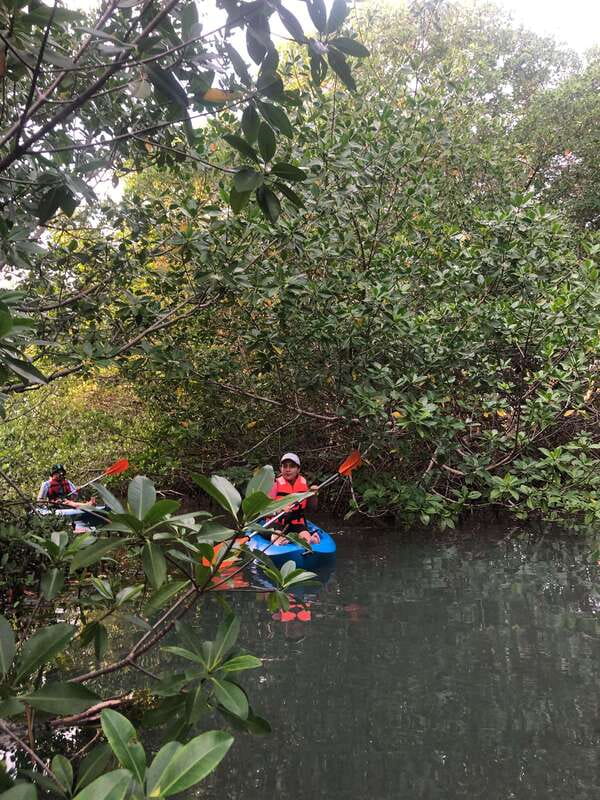 Kayak Tour in Cancun with Photos included - Who should book this kayak tour (and who should skip it)