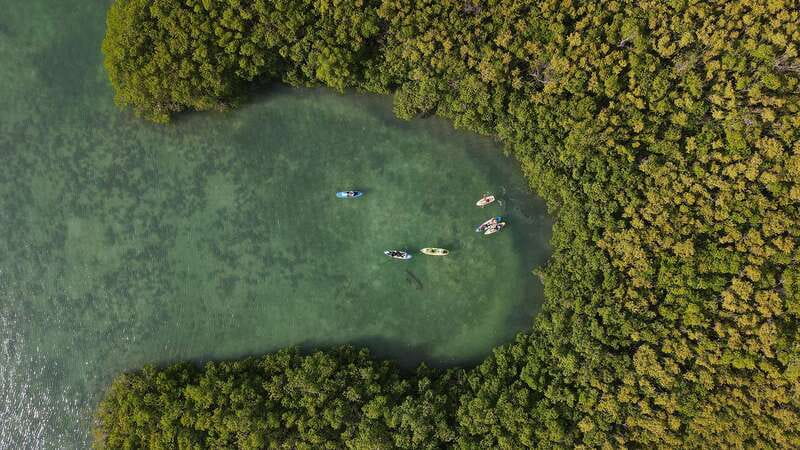 Kayak Tour in Cancun with Photos included - Nichupté Lagoon: the Cancun you actually came for