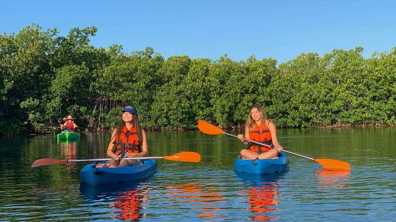 Kayak Tour in Cancun with Photos included - 2 hours kayaking through channels and wildlife habitat