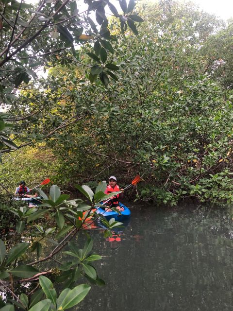 Kayak Tour in Cancun with Photos included - Why the eco-friendly approach is more than a slogan