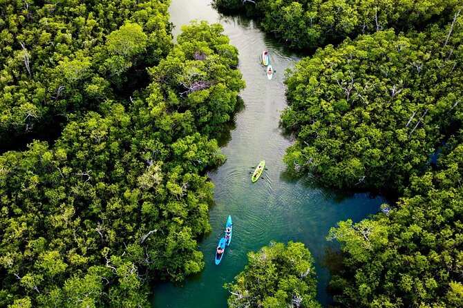 Kayaking Tour in Cancun - Small-Group Guidance: Why You Get More Than Just a Paddle