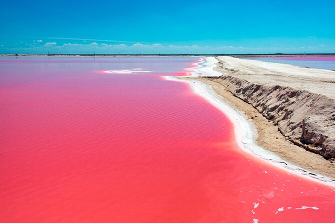 Las Coloradas and Rio Lagartos Tour with All Inclusive - Crocodile farm plus holding small crocs: the stop with actual memories