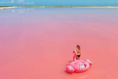 Las Coloradas and Rio Lagartos Tour with All Inclusive - Food and drinks: what’s included, and what you still need