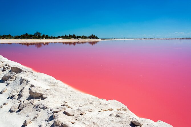 Las Coloradas and Rio Lagartos Tour with All Inclusive - Who should book this tour—and who should pass