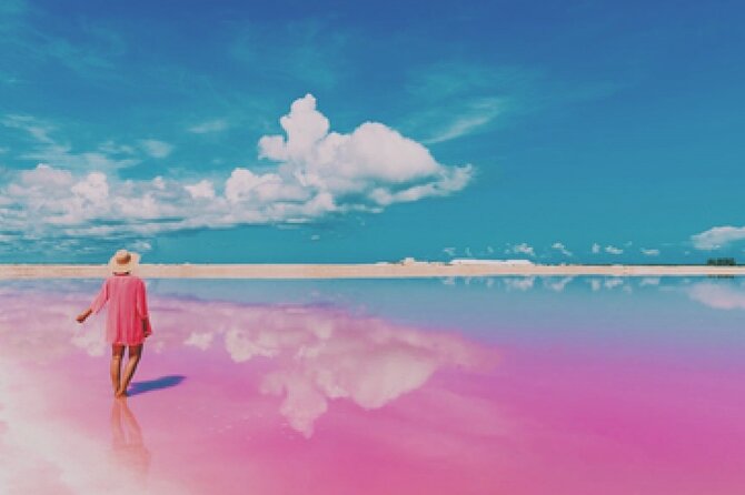 Las Coloradas Pink Lakes & Río Lagartos Wildlife Tour - Why this pink-lake meets wildlife daytrip actually works