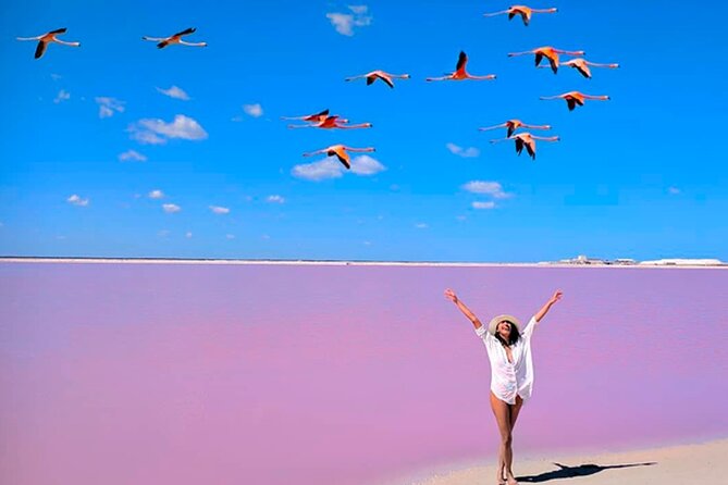 Las Coloradas Pink Lakes & Río Lagartos Wildlife Tour - Getting from Cancún: early pickup, multiple stops, and bus comfort