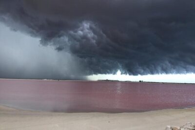 Las Coloradas Pink Lakes & Río Lagartos Wildlife Tour - Price and logistics: what $135 buys you (and what costs extra)
