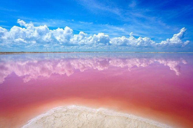 Las Coloradas Pink Lakes & Río Lagartos Wildlife Tour - Who this tour suits best (and who may find it rough)