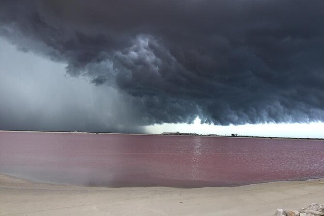 Las Coloradas Pink Lakes & Río Lagartos Wildlife Tour - Price and logistics: what $135 buys you (and what costs extra)