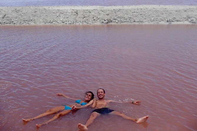 Las Coloradas & Rio Lagartos Tour from Cancún - Price and Value: What Your $119 Covers (and What It Doesn’t)
